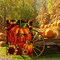 Home Decorative Happy Fall Yall Garden Flag Welcome Quote Double Sided, Autumn Sunflowers House Yard Flag, Rustic Harvest Pumpkin Yard Decorations, Sunflower Seasonal Outdoor Flag 12 x 18